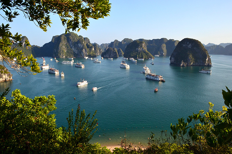 Mùa hè ở Hạ Long- Trời trong xanh, nắng vàng