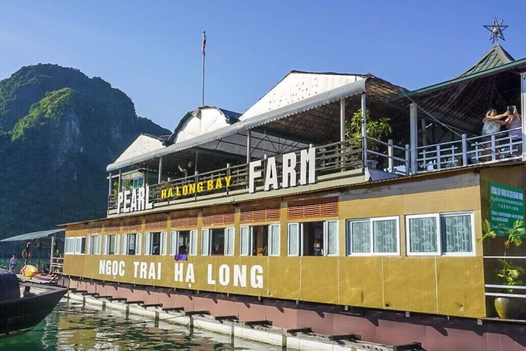 A Cultural Stop: Visiting a Local Pearl Farm