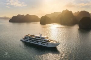 Aime'e cruises