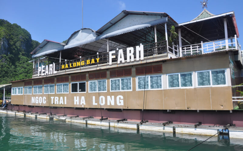 Tung Sau pearl farm